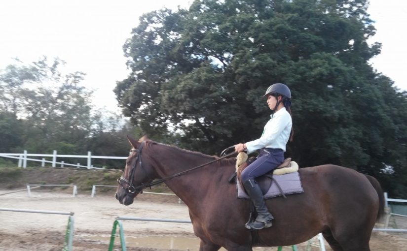 Todays　エルミ→Sunny（愛知県豊田市）