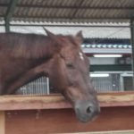 Todays　エルミ→Ｓunny（愛知県豊田市）