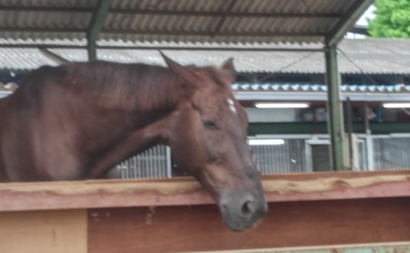 Todays　エルミ→Ｓunny（愛知県豊田市）