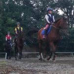 Todays　エルミ！→Cloudy（愛知県豊田市）