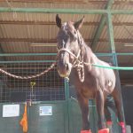 Todays　エルミ！→Sunny（愛知県豊田市）