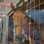 Todays　エルミ！→Sunny（愛知県豊田市）