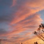 Todays　エルミ！→Sunny（愛知県豊田市）