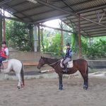 Todays　エルミ！→Sunny（愛知県豊田市）