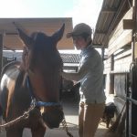 Todays　エルミ！→Sunny（愛知県豊田市）