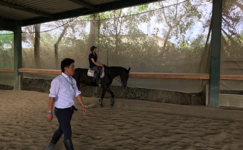 愛知県豊田市の乗馬クラブの日々～ミドルクラス（駈歩レッスン）お邪魔しました（名古屋市／Ｈ様）