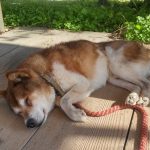 Todays　エルミ！→Sunny（愛知県豊田市）