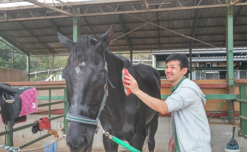 Todays　エルミ！→Sunny（愛知県豊田市）