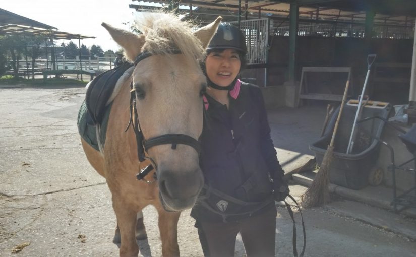 Todays　エルミ！→Sunny（愛知県豊田市）