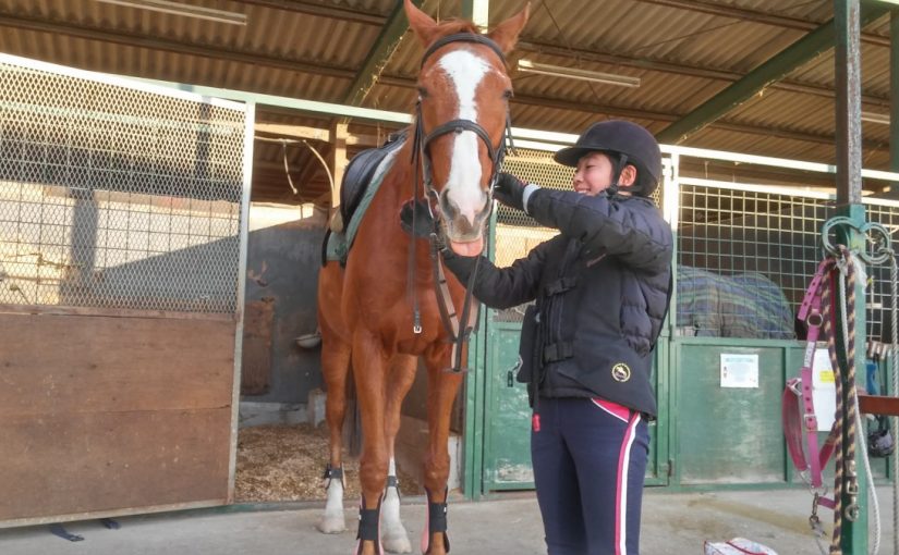 Todays　エルミ！→Sunny（愛知県豊田市）
