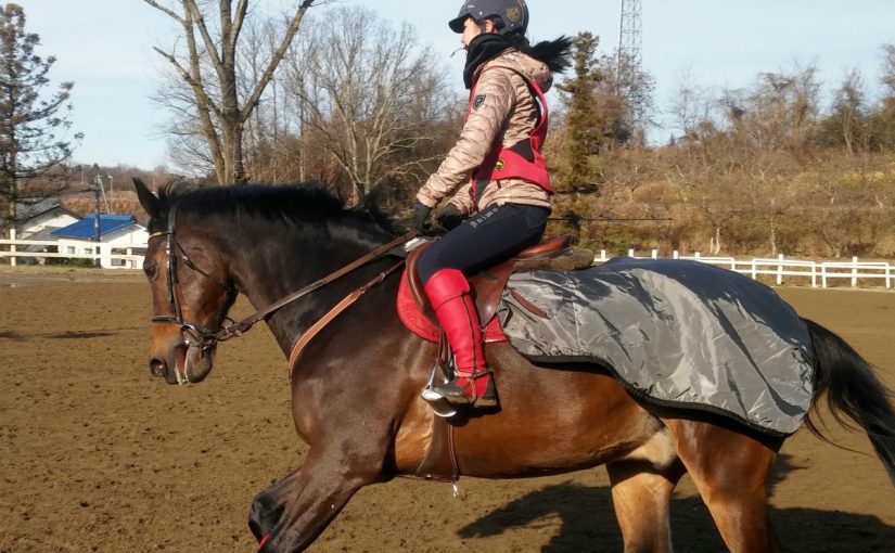 Todays　エルミ！→Sunny（愛知県豊田市）