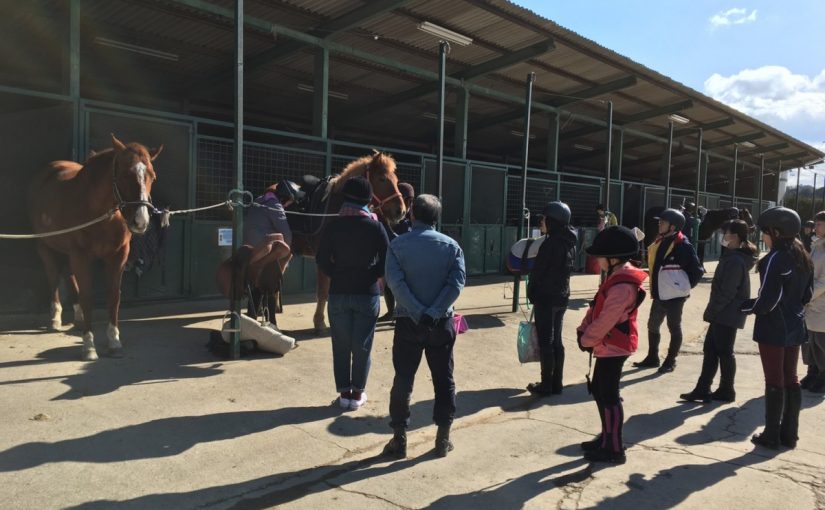Todays　エルミ！→Sunny（愛知県豊田市）