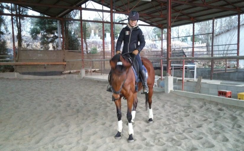 Todays　エルミ！→Sunny（愛知県豊田市）