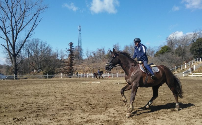 Todays　エルミ！→Sunny（愛知県豊田市）