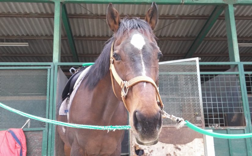 Todays　エルミ！→Sunny！（愛知県豊田市）