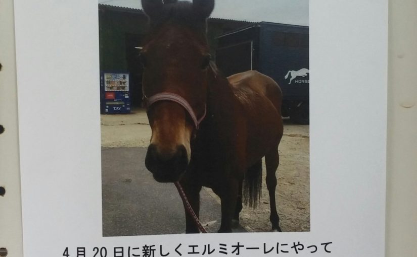 Todays　エルミ！→Sunny！（愛知県豊田市）