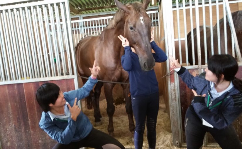 Todays　エルミ！→Rainny！（愛知県豊田市）