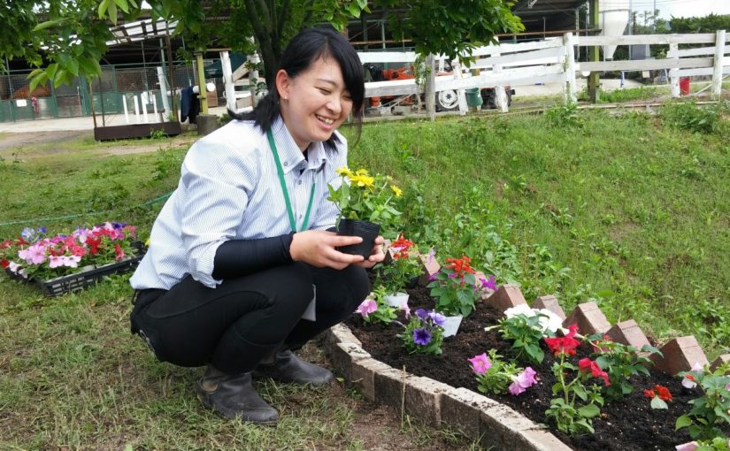 Todays　エルミ！→Rainny＆Sunny！（愛知県豊田市）
