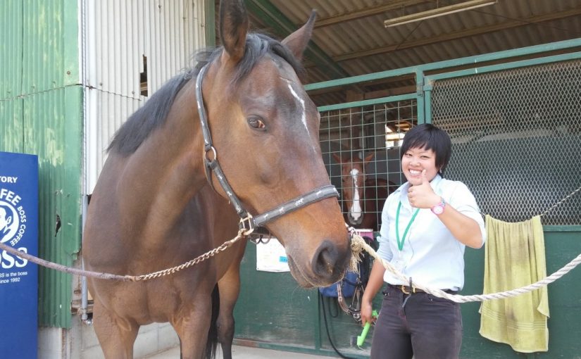 Todays　エルミ！→Sunny！（愛知県豊田市）