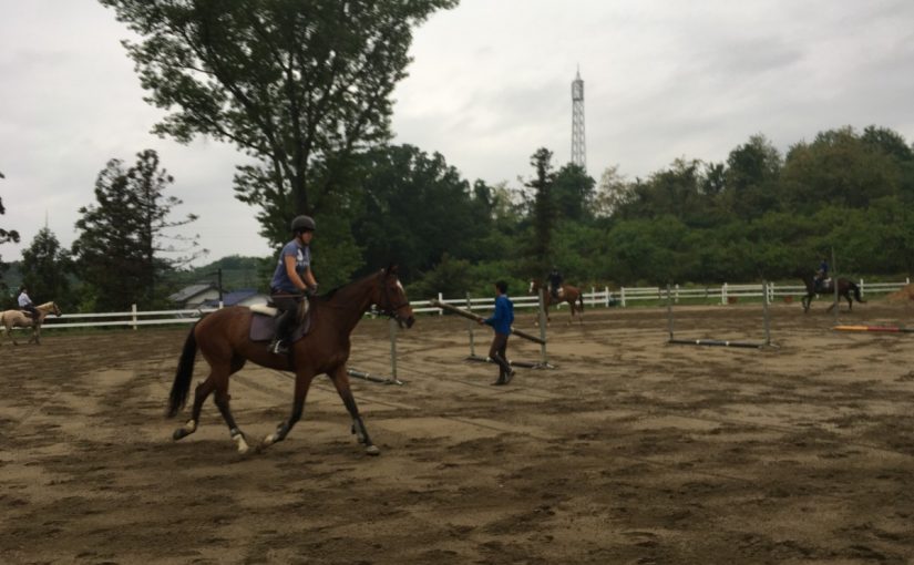 〜徒然 乗馬日記〜（愛知県豊田市）