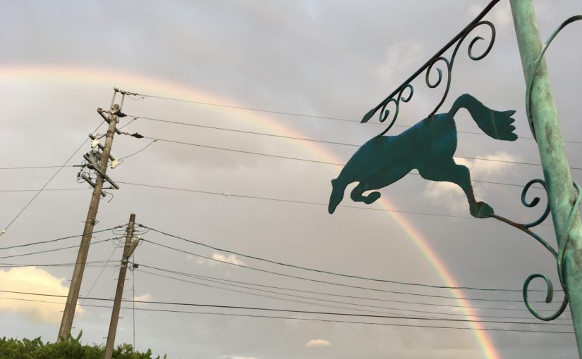〜徒然 乗馬日記〜（愛知県豊田市）