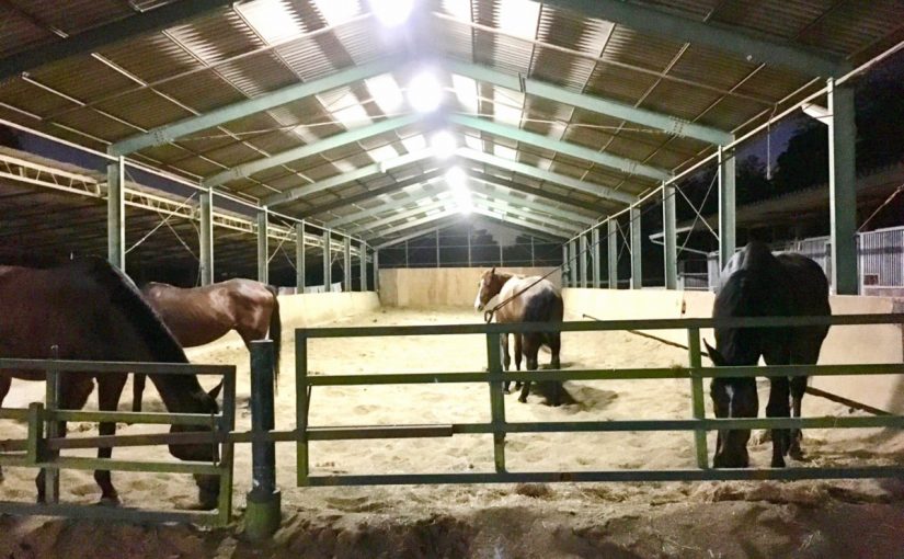 ☆新人　もりchan日記☆（愛知県豊田市）