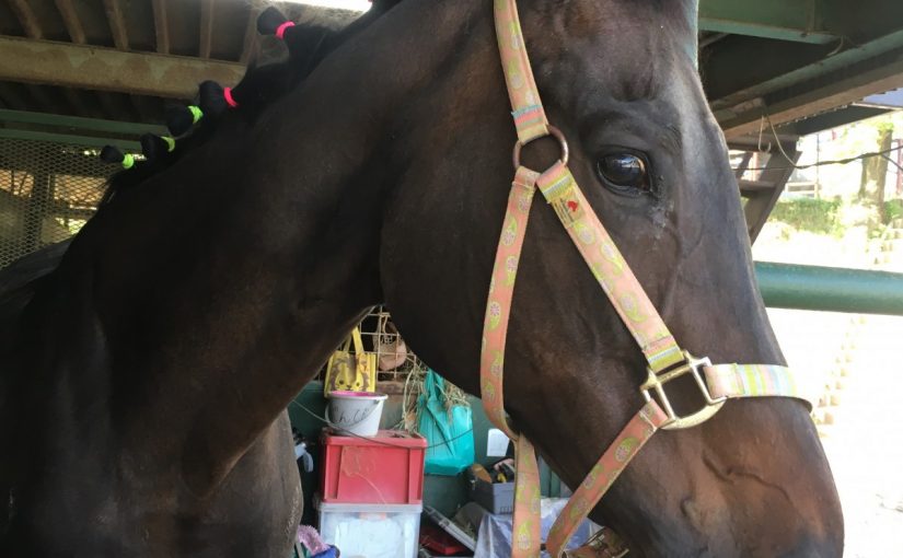 ☆新人　もりchan日記☆（愛知県豊田市）