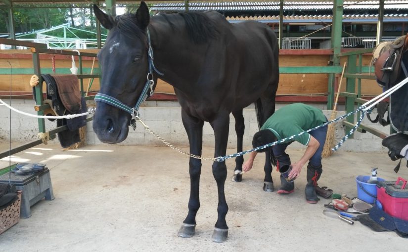 ＥＬＭ‘ｓ　Ｄｉａｒｙ→Ｃｌｏｕｄｙ＆Ｓｕｎｎｙ！（愛知県豊田市）