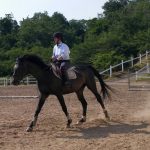 ELM‘s Diary→Sunny!(愛知県豊田市)