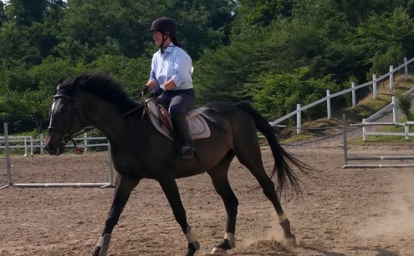 ＥＬＭ‘ｓ　Ｄｉａｒｙ→Sunny！（愛知県豊田市）