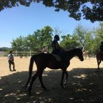 〜徒然 乗馬日記〜(愛知県豊田市)