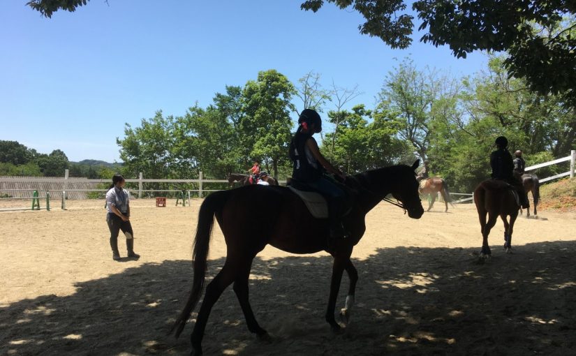 〜徒然 乗馬日記〜（愛知県豊田市）