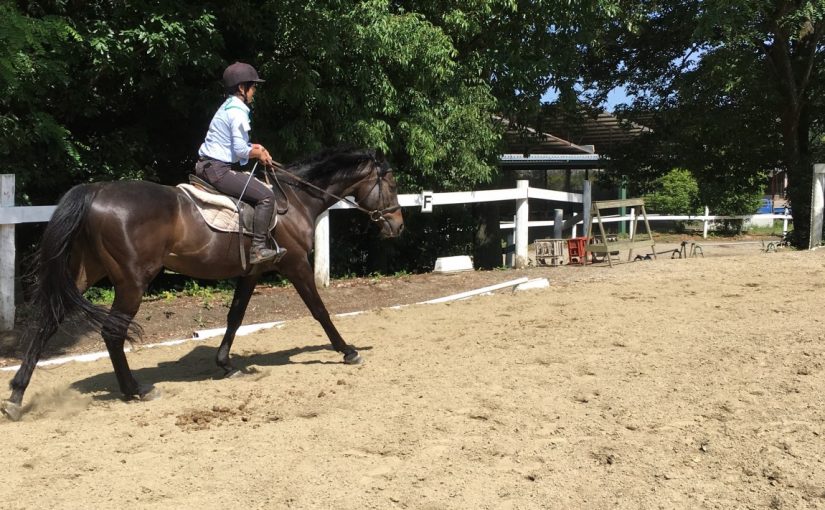 ☆新人　もりchan日記☆（愛知県豊田市）