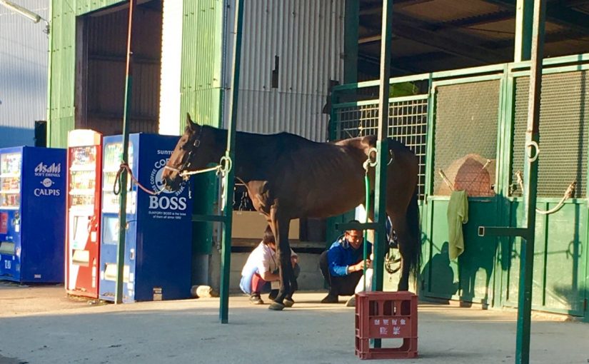 ☆新人　もりchan日記☆（愛知県豊田市）