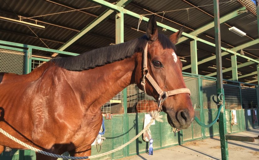 ☆新人　もりchan日記☆（愛知県豊田市）
