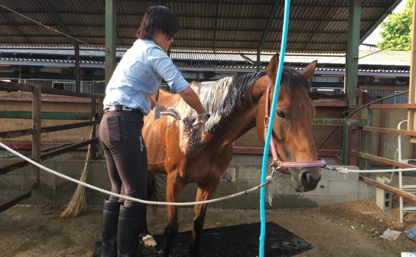 ☆新人　もりchan日記☆（愛知県豊田市）