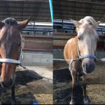 ☆新人 もりchan日記☆(愛知県豊田市)