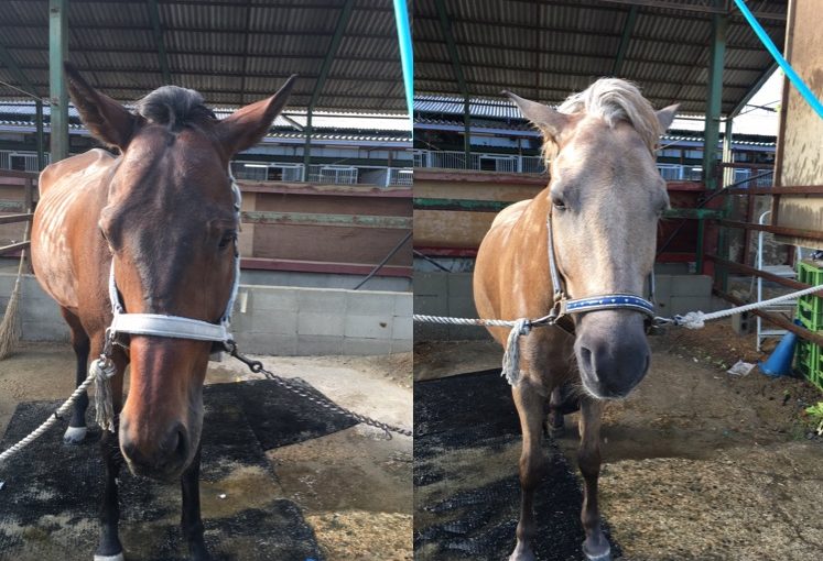 ☆新人　もりchan日記☆（愛知県豊田市）