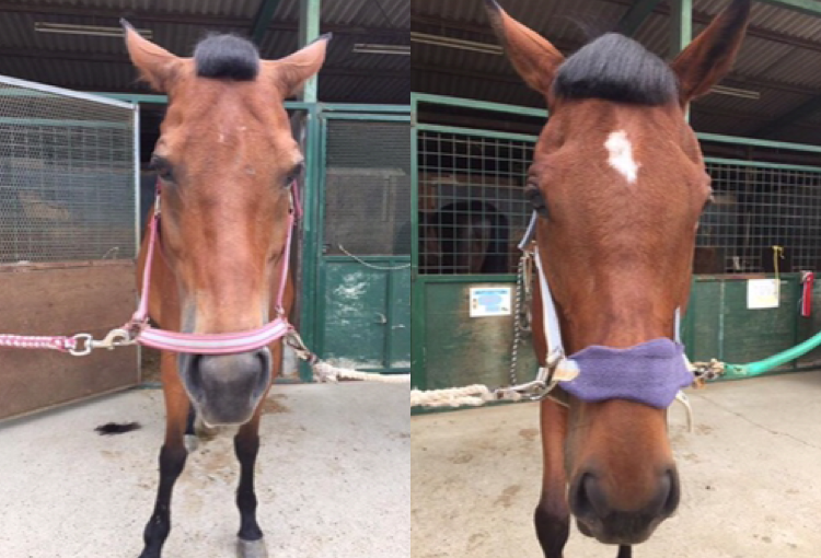 ☆新人　もりchan日記☆（愛知県豊田市）