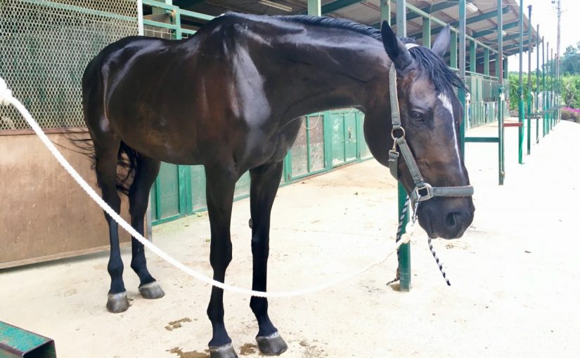 ☆新人　もりchan日記☆（愛知県豊田市）
