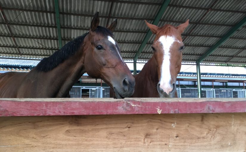 ☆新人　もりchan日記☆（愛知県豊田市）