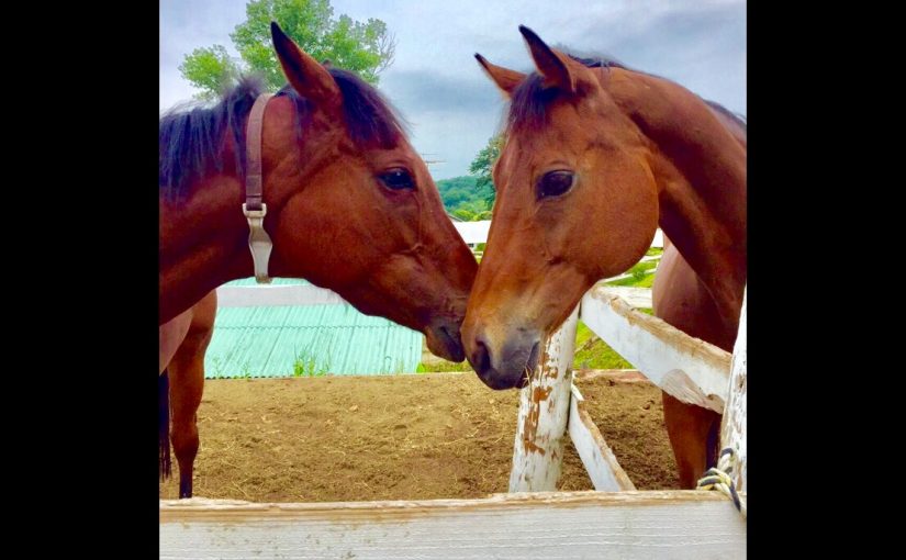 ☆新人　もりchan日記☆（愛知県豊田市）
