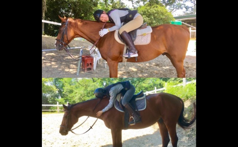 ☆新人　もりchan日記☆（愛知県豊田市）