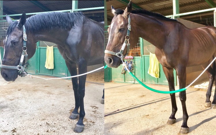 ☆新人　もりchan日記☆（愛知県豊田市）