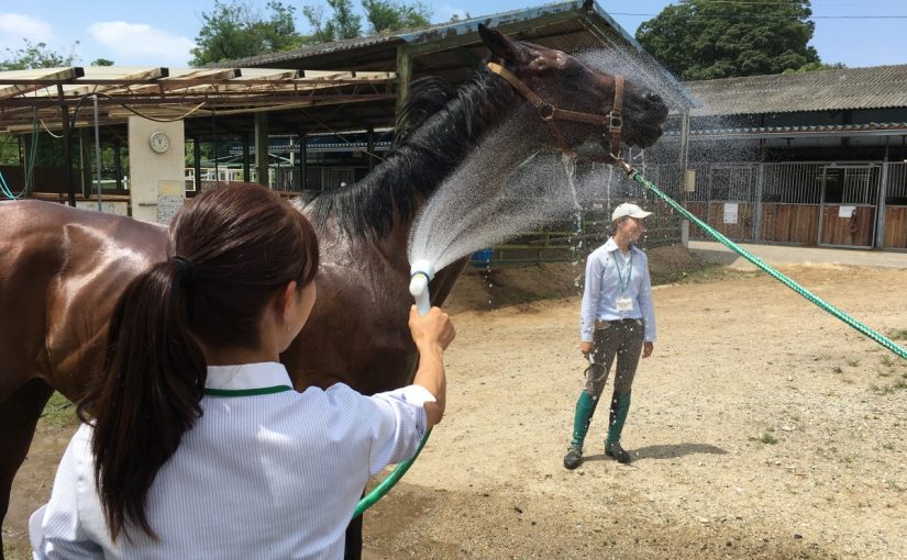 〜徒然 乗馬日記〜（愛知県豊田市）