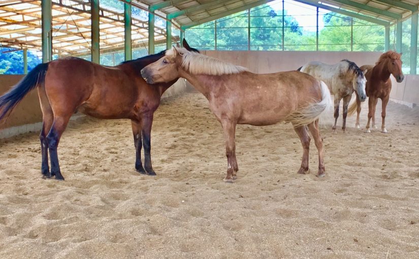 ☆新人　もりchan日記☆（愛知県豊田市）