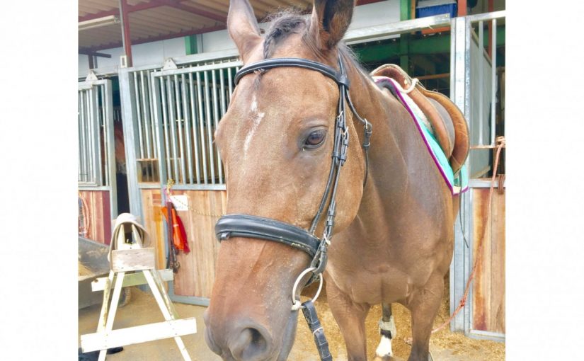 ☆新人　もりchan日記☆（愛知県豊田市）