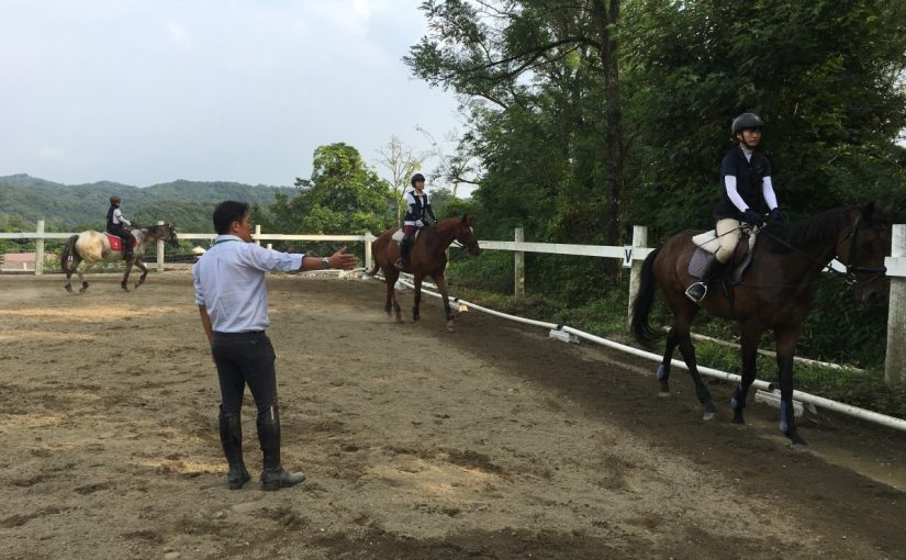 〜徒然 乗馬日記〜（愛知県豊田市）