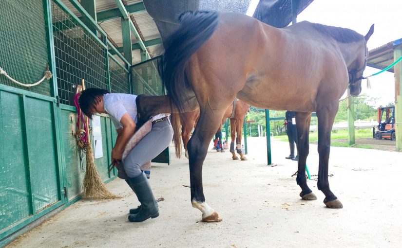 ☆新人　もりchan日記☆（愛知県豊田市）