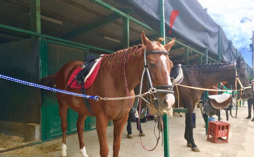 ☆新人　もりchan日記☆（愛知県豊田市）